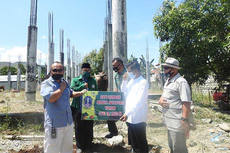 Wabup Jayapura Serahkan Bantuan Hewan Qurban