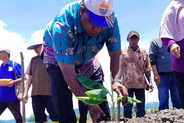 Dukung PON XX Dinas TPH jayapura Sulap Lahan Tidur Jadi Lahan Pertanian